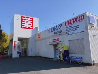 ���ӊ��@�E�G���V�A���c���Â̓m�X �k��13���B 1000m