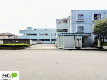 �O�ώʐ^�@�����w�͂��C�y�ɂ��⍇�����������܂��B