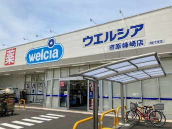 ���ӊ��@�E�G���V�A�s���o��X �k��7���B 510m