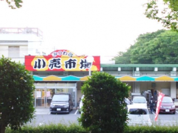 ���ӊ��@��t�s�݂�䏬���s�� �k��9���B 650m