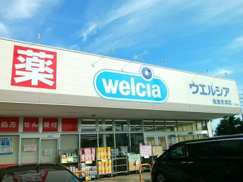 ���ӊ��@�E�G���V�A���q�u�ÓX �k��5���B 330m